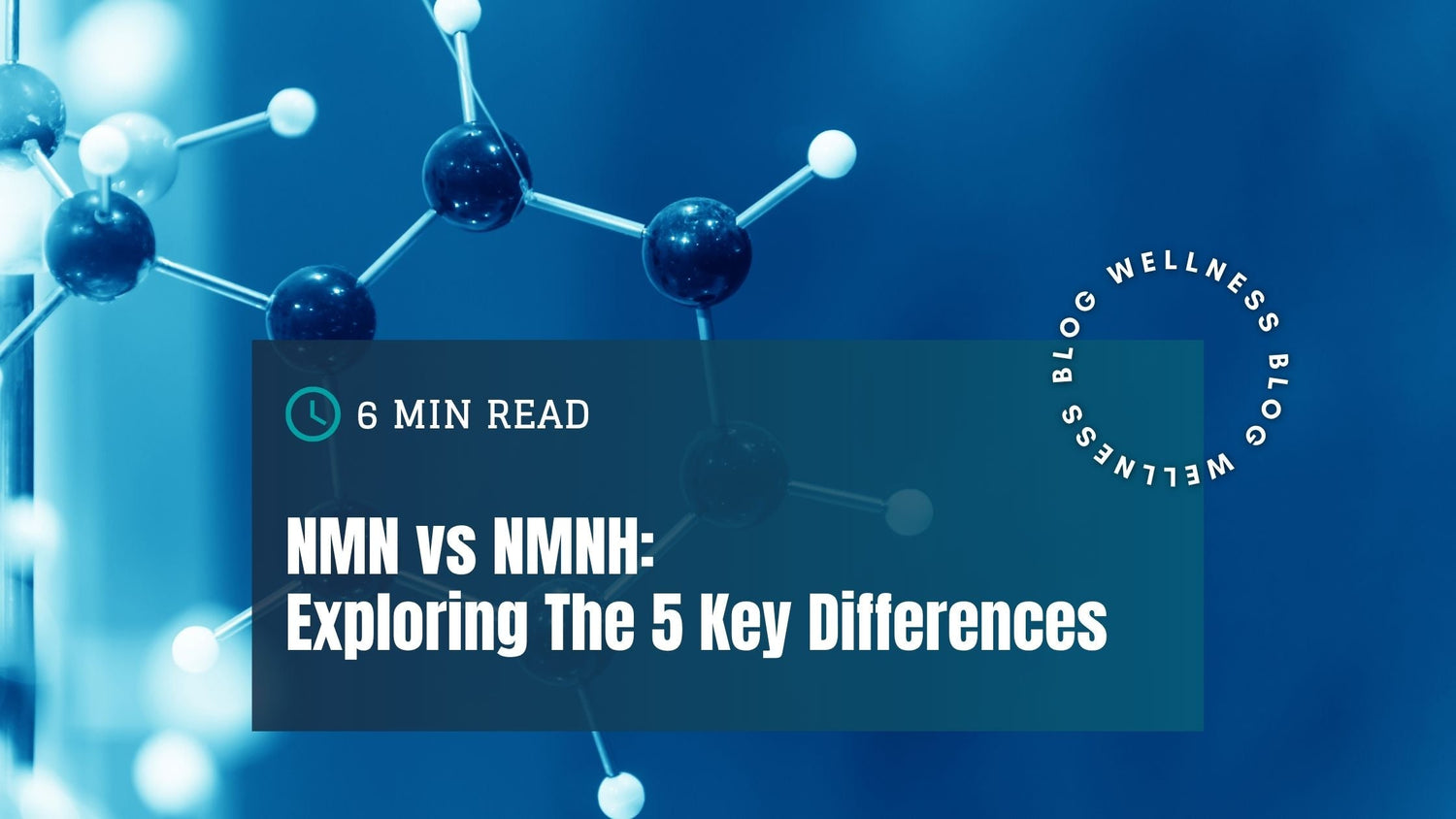 NMN vs NMNH: 5 Key Differences