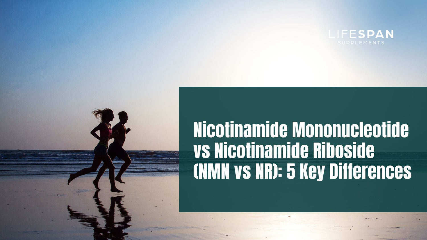 Nicotinamide Mononucleotide vs Nicotinamide Riboside (NMN vs NR)