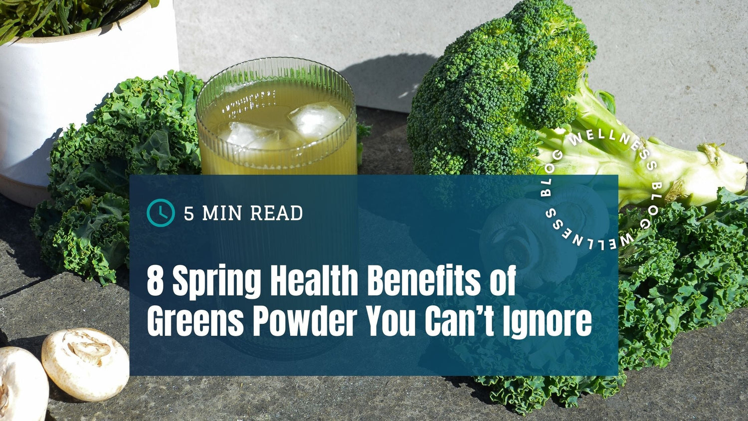 8 Spring Health Benefits of Greens Powder You Can’t Ignore