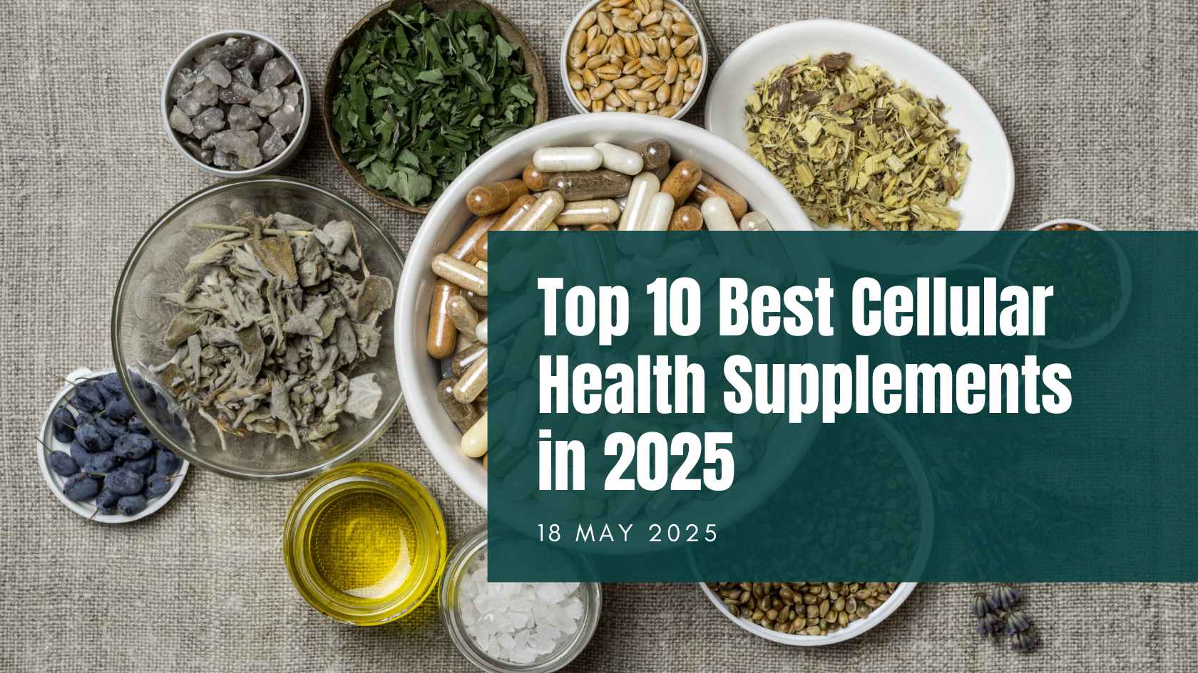 Top 10 best cellular health supplements 2025