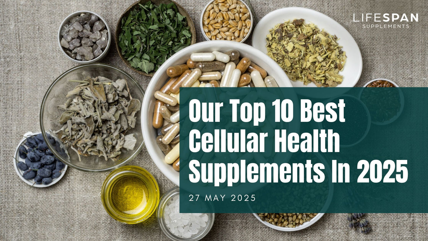 Top 10 best cellular health supplements 2025