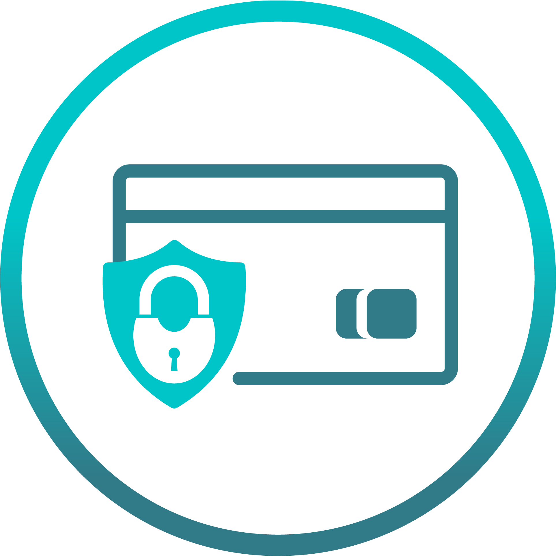 Lifespan Supplements Secure Payments