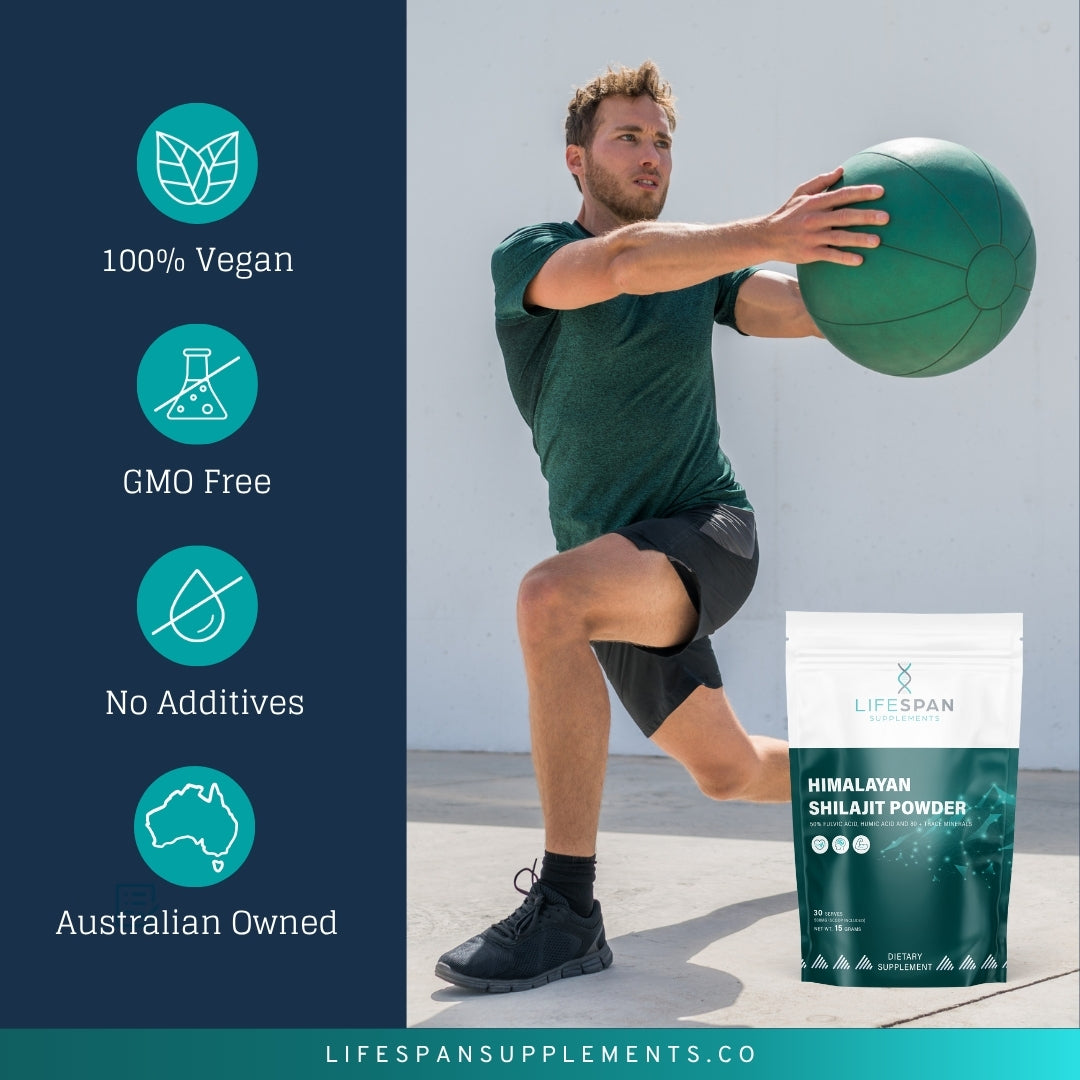 Himalayan Shilajit | 15G