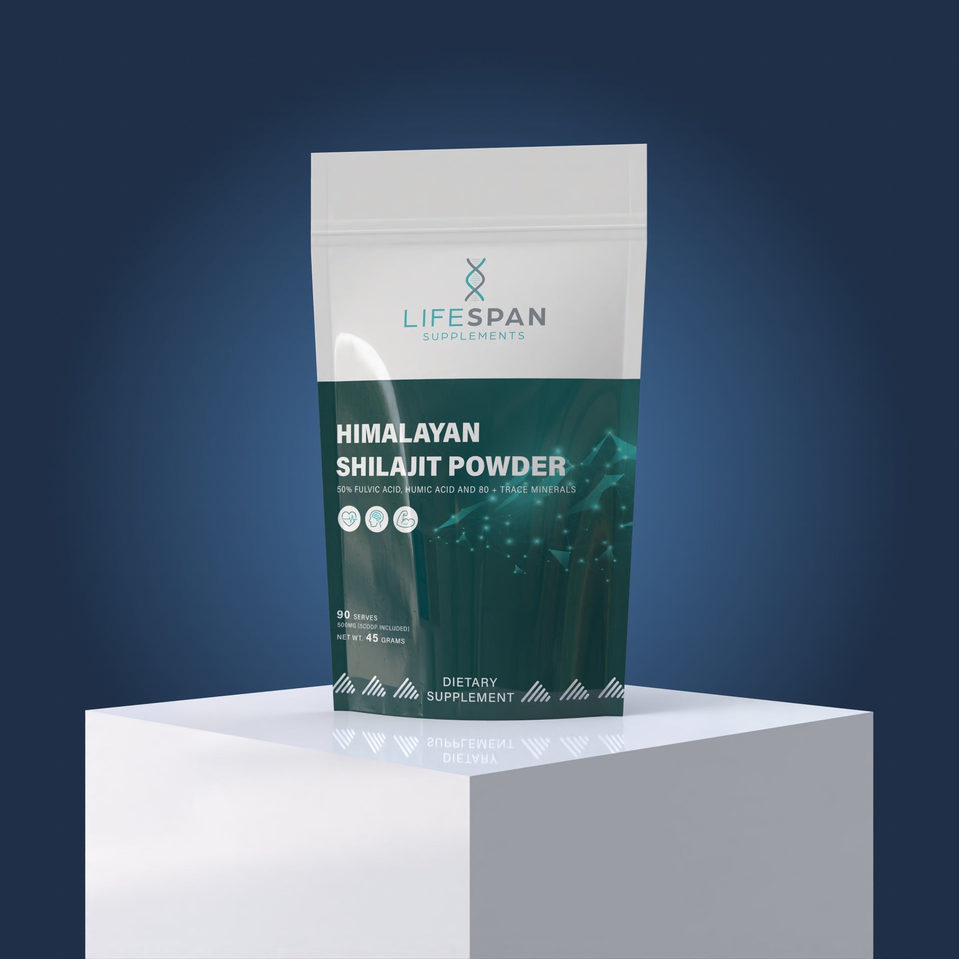 Himalayan Shilajit | 45G