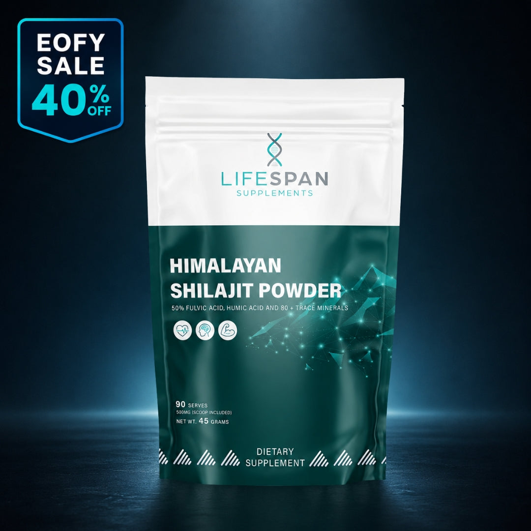 Himalayan Shilajit | 45G