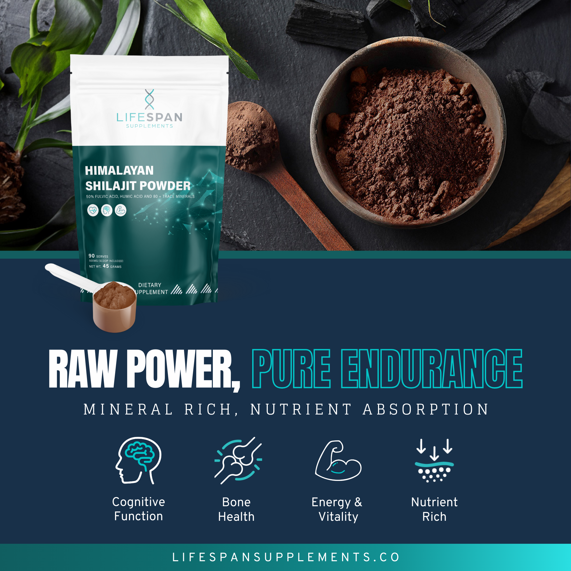 Himalayan Shilajit | 45G