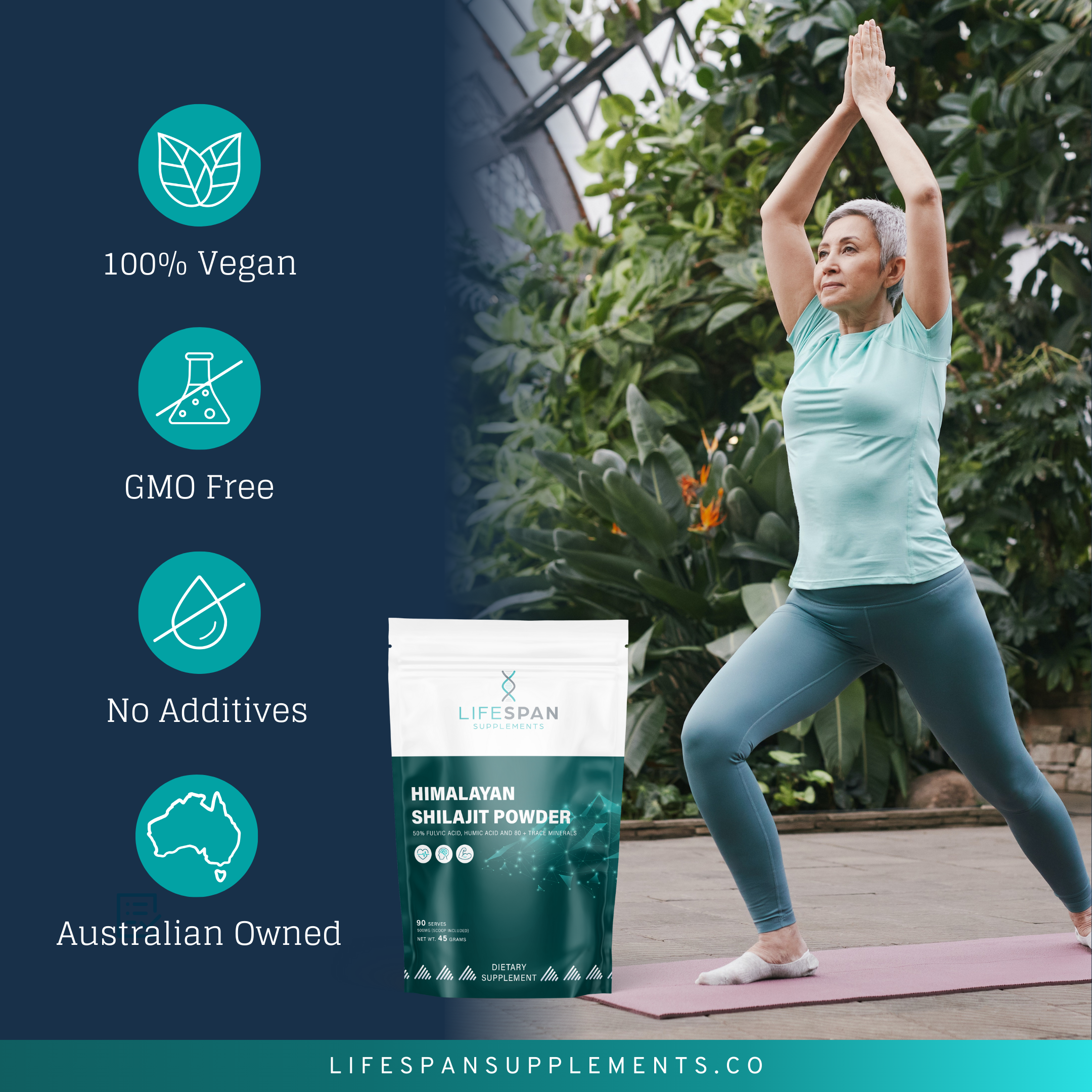 Himalayan Shilajit | 45G