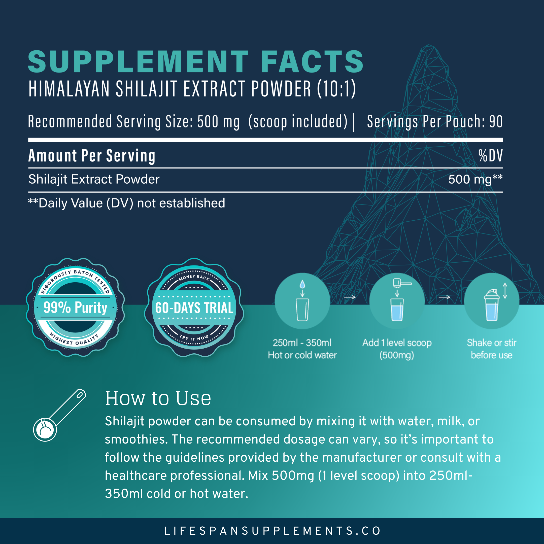Himalayan Shilajit | 45G